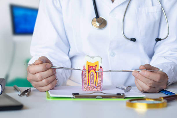 Best Emergency Dentist for Special Needs Patients in Granite, OK